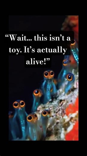 “Alien Eyes? No… It’s a Baby Gecko!”#viral #shorts #explore