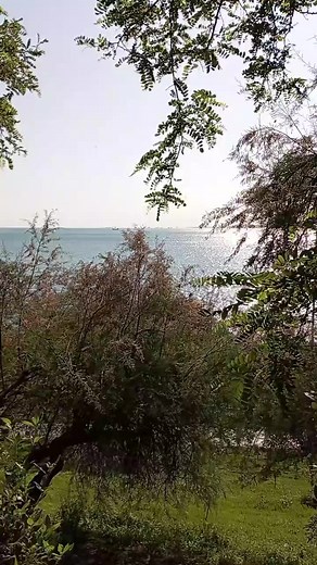 55K views · 546 reactions | Pervin Balcı - Sen Yanımda Olunca ♥️ | Türk Müziği Severler | Facebook