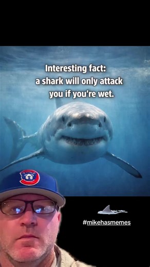 #shark #sharks #funny #meme #fyp