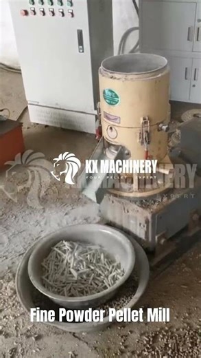 Fine Powder Pellet Machine for Biomass Fine Powder Pellet Mill for Biomass #pelletmachine