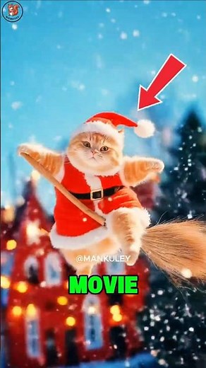 TOP 5 CHRISTMAS ANIMALS YOU DIDN’T KNOW HAD HOLIDAY POWERS! 🎅🐾