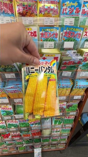 Only in Japan: Vegetable Seeds in a Japanese Supermarket 🌱