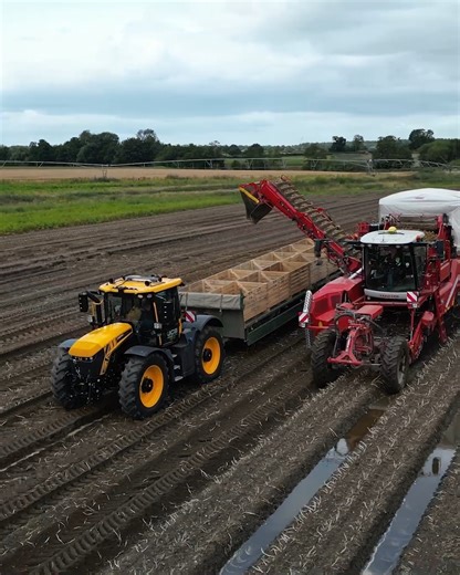 51K views · 1.5K reactions | “I would definitely recommend the Fastrac iCON,” Reece Kirk, operator at TC&N Taylor Ltd, on his experience with the #JCB Fastrac iCON and the service and support from their dealer. Discover more: go.jcb.com/uh5Rd. | JCB Agriculture | Facebook