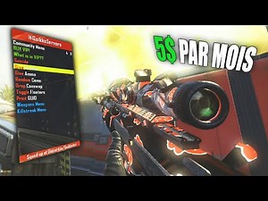 DES SERVEURS MOD MENU sur BO2 PLUTONIUM ! 😭