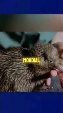 Aceste Animale Fac Ouă Foarte Ciudate
