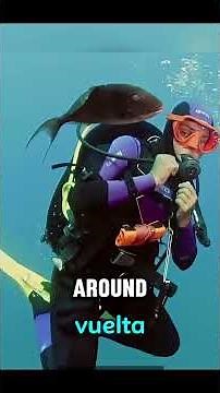Watch Out for These Underwater Fish! 🌊😳 #scubadiving #animals