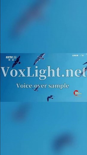 Professional Native Chinese Voice-Over & Mandarin Dubbing | Chinese Voice Actors | Voxlight.net