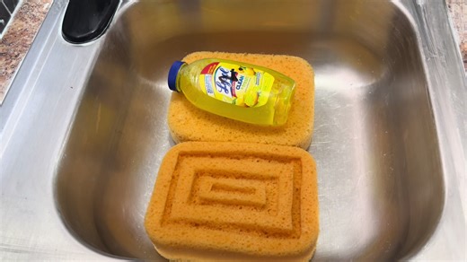 Exciting Live Cooking Session with Unique Combos