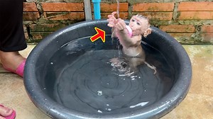 So Adore Gesture Baby Emma Try Caught Mommy Water Drop While Bathing | Monkey Daily