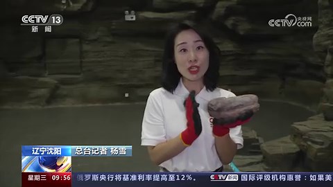 暑期探馆·闻知见知｜探索化石奥秘 感受古生物演化进程