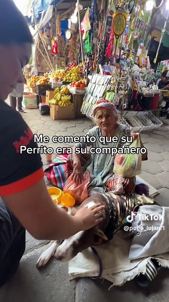 No los ignores… también necesitan ayuda. 🙏💔 🥺 #ayuda #adultomayor #sos #abuelita #santacruzdelasierra🇳🇬