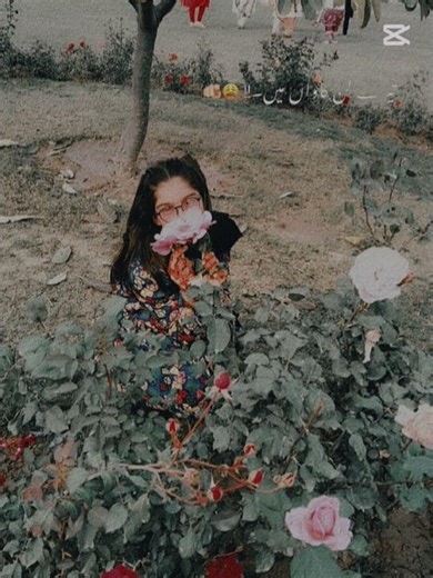 Tere te main vari Java mein 💫✨🩷😊