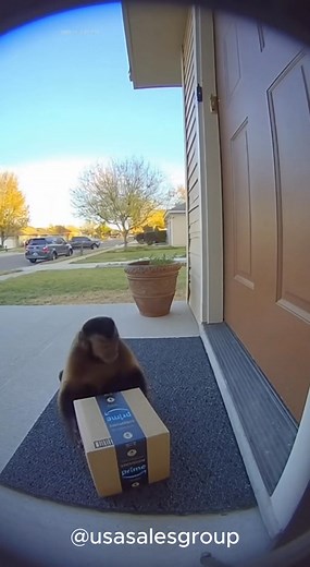 16K views · 218 reactions | Amazon sent WHAT to deliver my package?...