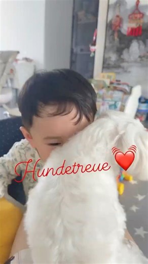 Eine Freundschaft,die vor der Geburt begann 🐶🥰👶