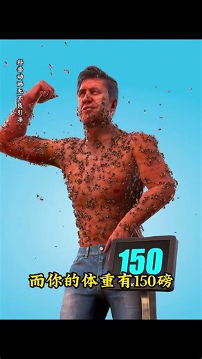 Mystery Behind the Bee Sting Tragedy - Uncover the Truth! BeeMurderCase