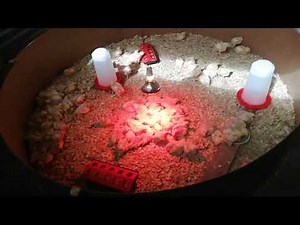 5 tips on raising 1 day old chicks and how we made a round brooder box.