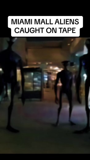 Fascinating Things You Want To Know Miami aliens @guynamedfitz | Allan Tuan | Facebook