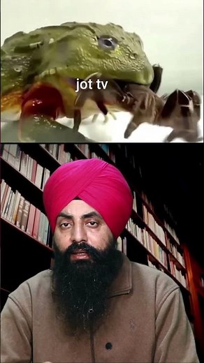 "The Insatiable Appetite of Bullfrogs: Eating Everything in Sight"