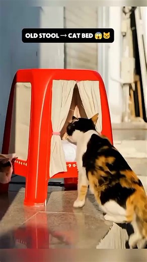 DIY Cat Bed from Old Stool: A Creative Upcycling Idea