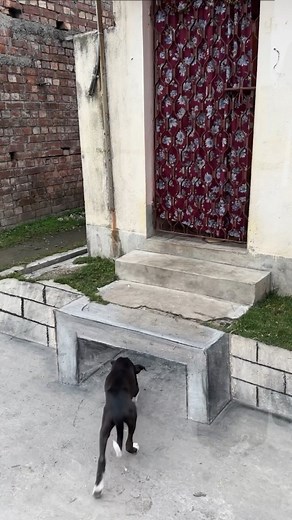 3D illusion #Art #AshortsAday | Chandan Art Academy