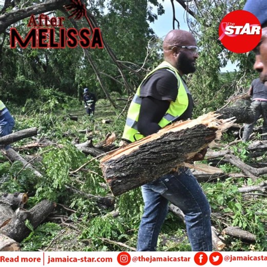 Jamaica Star on Instagram: "#AfterMelissa: Teams from China Harbour Engineering, the NSWMA, the NWA, and the Jamaica North-South Highway Company are working assiduously to clear fallen trees blocking Mandela Highway, in the direction of Spanish Town, in St Catherine. The roadway is impassable. 📽: @mac_shots_"