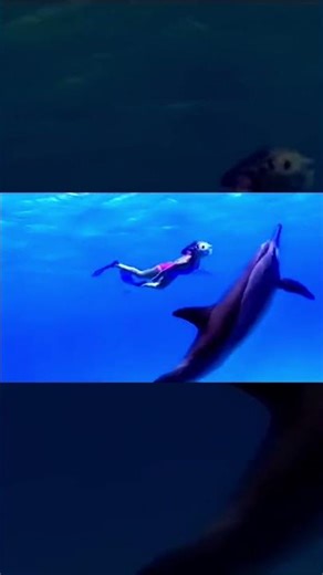 Red Sea Riviera Advert 2003