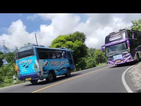 sepesial ngoyod bus Alan Putro "sultan kw" Basuri 12 not gacor #basuri12not #alanputro #sultankw