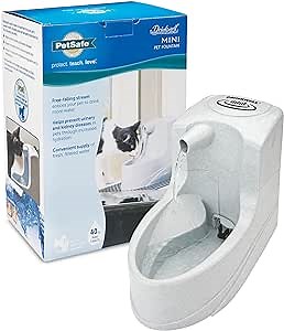 PetSafe Drinkwell Mini Pet Fountain for Cats & Small Dogs - Encourages Hydration - Fresh Filtered Water - Adjustable Flow - Durable Plastic Mini Fountain - Dishwasher Safe