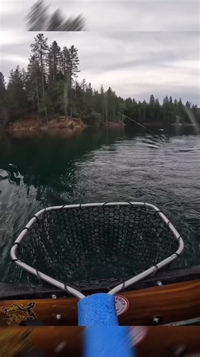 A great day on Scott’s Flats Reservoir in the High Sierras for Jeffrey F. The trout couldn’t resist the Orange Tube Fly combined with Minnow Mayhem Fly Spray. | Catch America