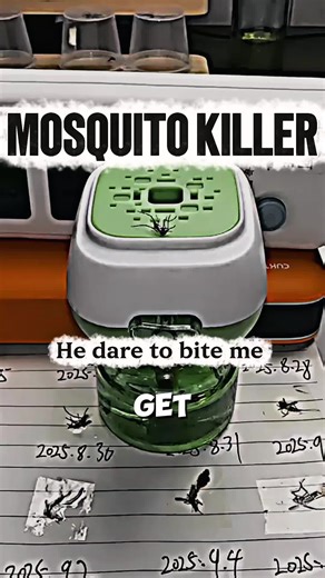 Effective Mosquito Repellent Products to Consider