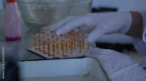 Blood test tubes. Senior female scientist examining blood test tubes at her laboratory dna testing