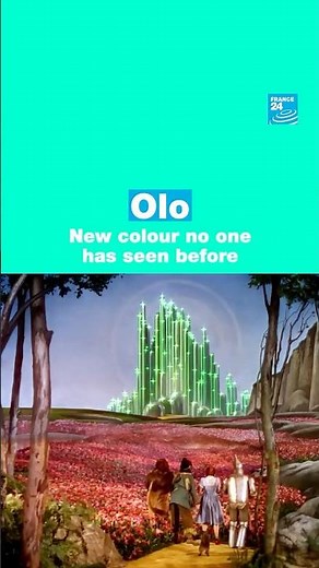 Olo: A new colour no one has seen before🎨 • FRANCE 24 English