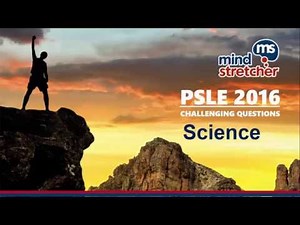 PSLE 2016 (Science) - Challenging Questions Unravelled!
