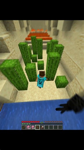 Minecraft Enderman Chase