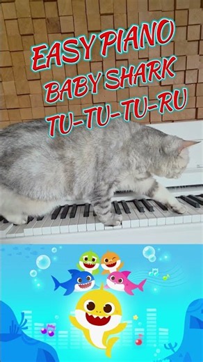 Play Baby Shark on Piano Easy #piano #tutorial #shorts