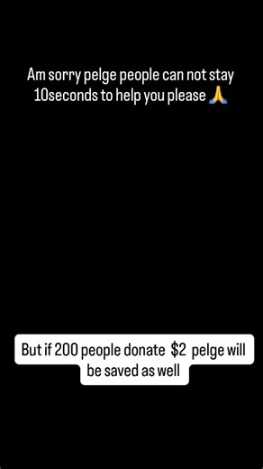 mishelle_furry_rescue on Instagram: "Pelge was recently diagnosed with cancer Disease and this is his journey in giving her the best life 🙏. Kindly like and retweet as a parent of this child 😊 and donate anything you can afford link in bio #cat #london #explorepage✨ #usa #austria"