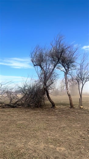 Wildfire Update: Near Fort Collins Evacuations