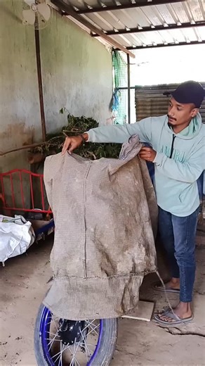 Syke Chotu on Instagram: "U WAKE UP 1 DAY RUN TO ME ⚜️🐳 CONFEES LOVE💙"