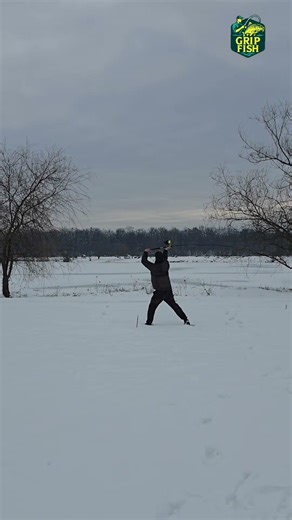 World Champ Elegance 390 120g