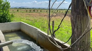 220 reactions · 15 shares | Another satisfied customer from Cadaanan Solana Quality materials and workmanship by Suntech☺️ Unlimited water for fishpond and rice farm!!! If you have an existing Franklin Submersible Pump, we can convert it into Solar Powered  Call 0996728555 for more informations ♥️♥️♥️ | Suntech Power Solutions | Facebook