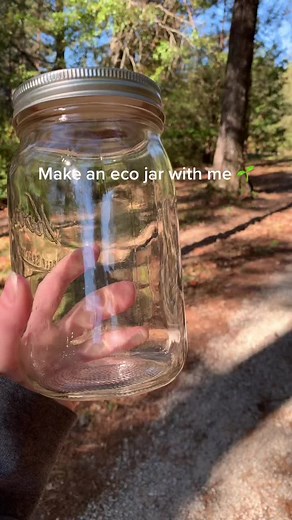 Creating an Eco-Friendly Pond Ecosystem in a Jar