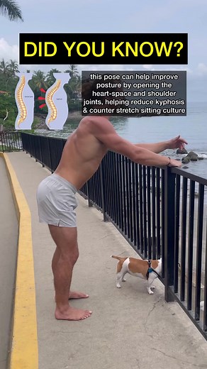 The benefits of daily heart openers are insane!!! It counter sitting culture, improves posture, increases energy, and so much more 👁 Give this one a try 🙏🏼 #puppypose #puppyposebenefits #puppyposevariations #puppyposeonledge #heartopener #viral #fyp #yogatips | Dakota Mays