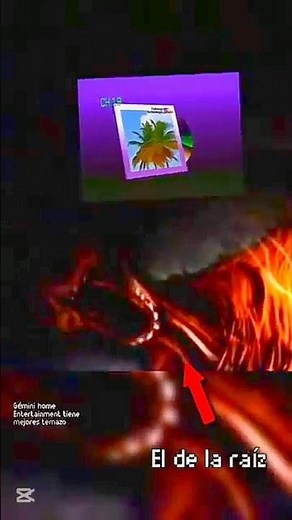 Que es Gemeni Home Entertainment?