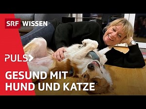 Hunde und Katzen: So positiv sind Haustiere für deine Gesundheit | Puls | SRF Wissen