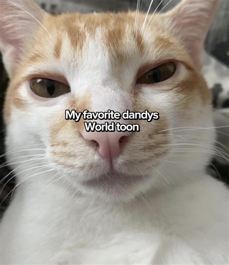 SHELLYYyYY #shelly #dandys_world