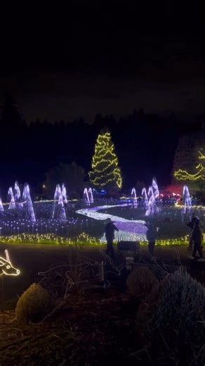 Took the night off from barn chores and went to zoo lights with mom, dad and Jim at the Oregon Zoo . Simply amazing . We even rented an igloo . It’s a great place to get warm , have S’mores and relax . To be honest with how bad my neck and shoulders are right now it was a lifesaver to sit down . Rode the train and just enjoyed some fun time together . Well done Oregon Zoo | CedarCreekGypsyHorses