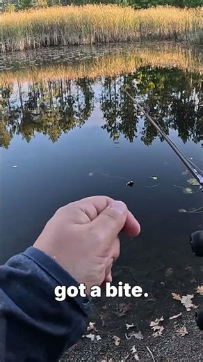 Wacky Rig Fishing Made Super Easy!