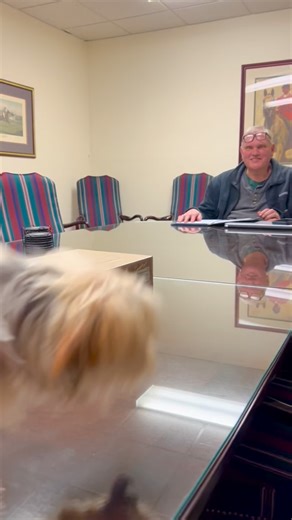 Milla hasn’t been out of the house in a few days. She is a social being and needs human interaction. 🤣🙄 We will try to get some work done… | Kimberly Swan