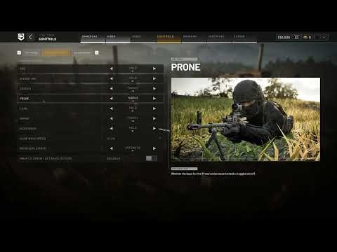 WARDOGS: How to Change Lean, Prone & Crouch from toggle to Hold
