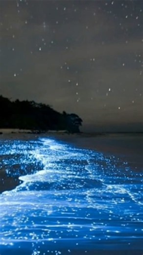 Ocean Sounds for Deep Sleep, Relaxation & Slow Breathing 🌊 Glowing Bioluminescent Waves at Night